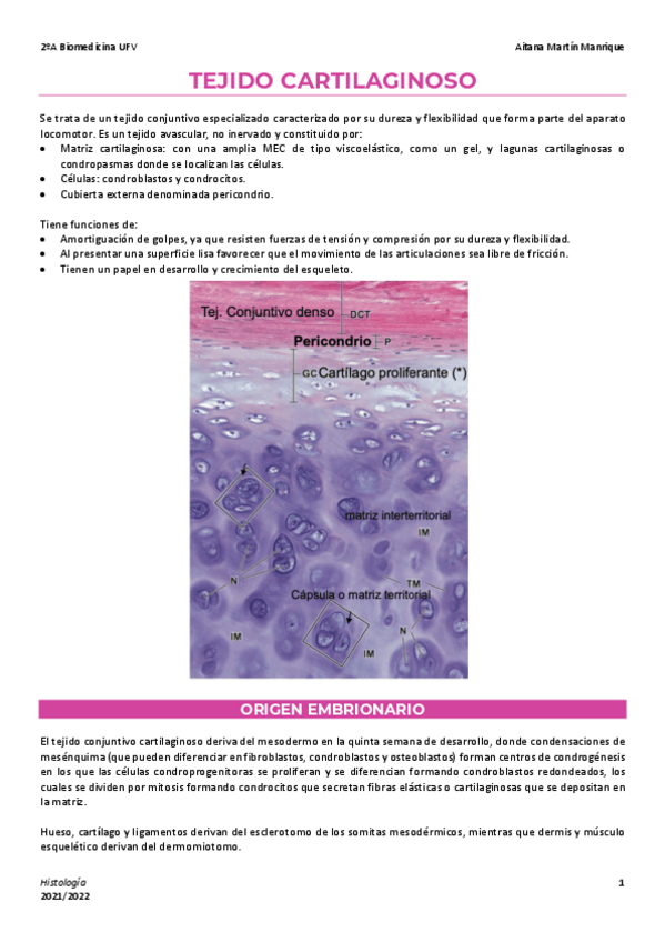 Miniatura del documento 7-Tejido-cartilaginoso.pdf