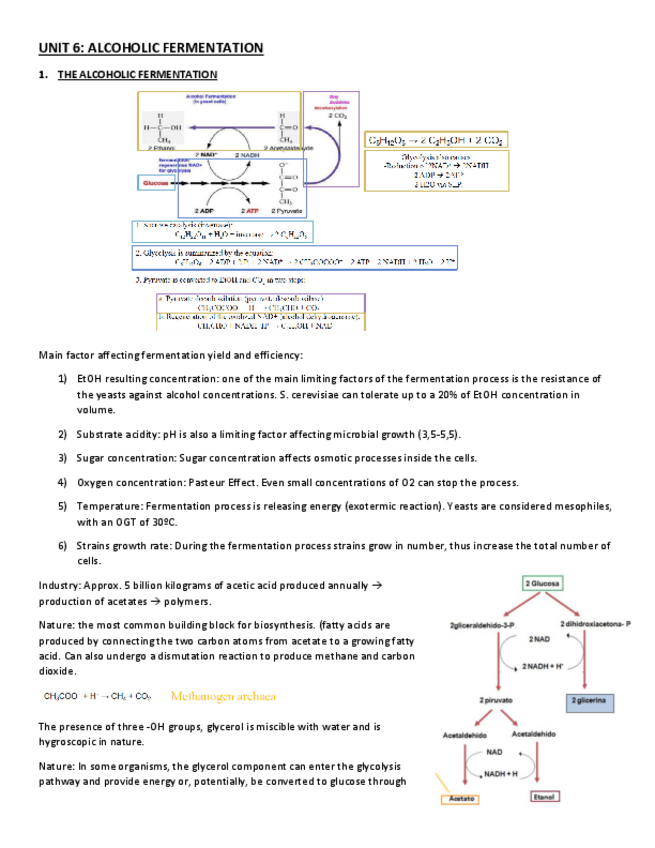 Miniatura del documento UNIT-6-A.pdf