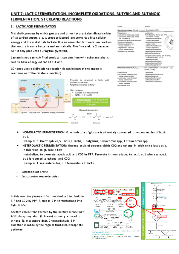 Miniatura del documento UNIT-7.pdf