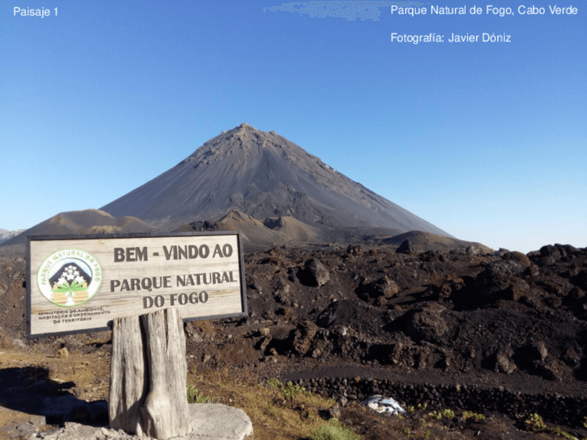 Miniatura del documento Examen-PGTDT-julio-2020.pdf