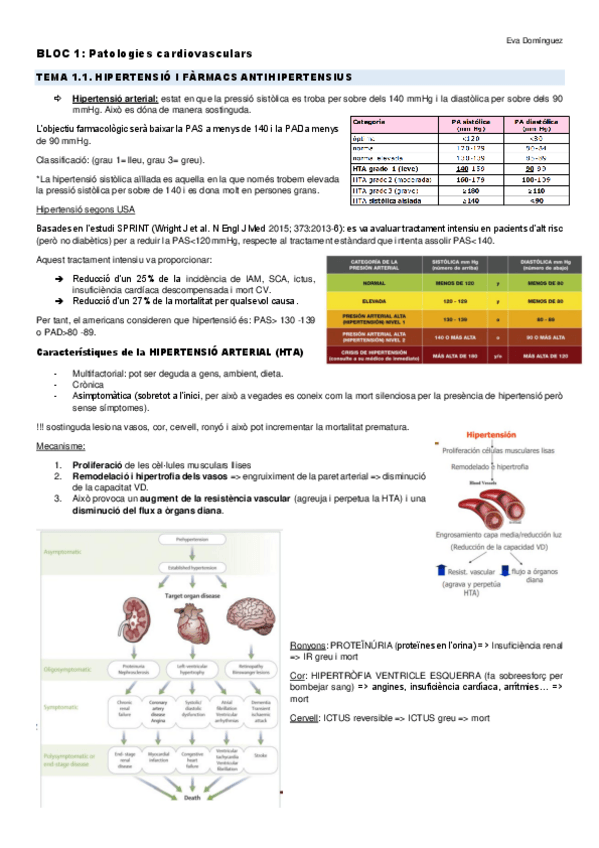Miniatura del documento tot-parcial.pdf