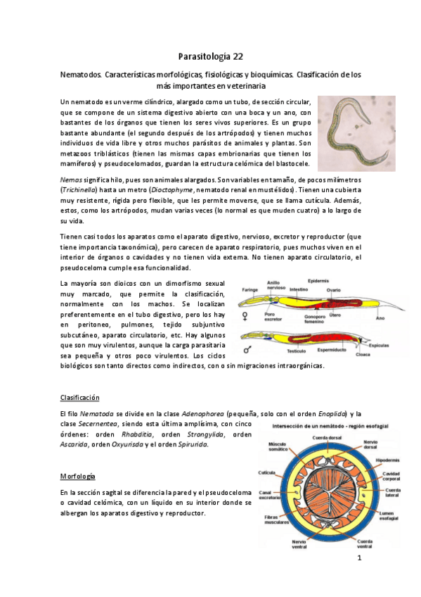 Miniatura del documento Parasitologia-22.pdf