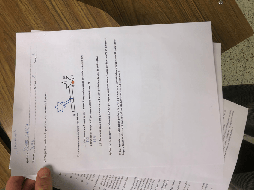 Miniatura del documento 869A20AD-766B-442C-8511-9BE49C9AB109.jpg