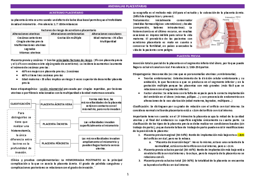 Miniatura del documento T.pdf