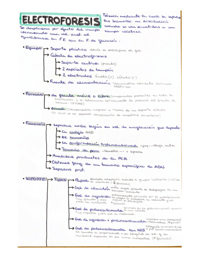 Miniatura del documento Electroforesis-resumen.pdf