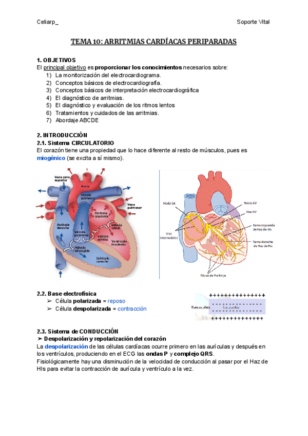 Miniatura del documento TEMA-10-ARRITMIAS-CARDIACAS.pdf
