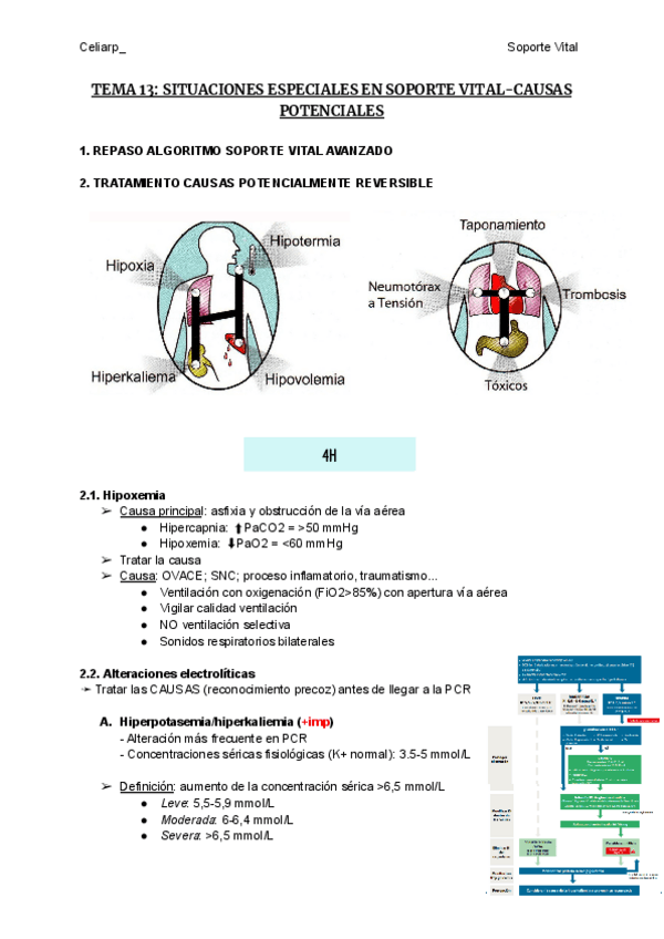 Miniatura del documento TEMA-13-SITUACIONES-ESPECIALES-EN-SOPORTE-VITAL-CAUSAS-POTENCIALES.pdf