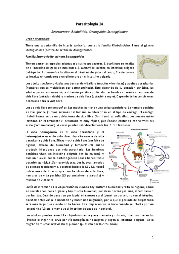 Miniatura del documento Parasitologia-24.pdf