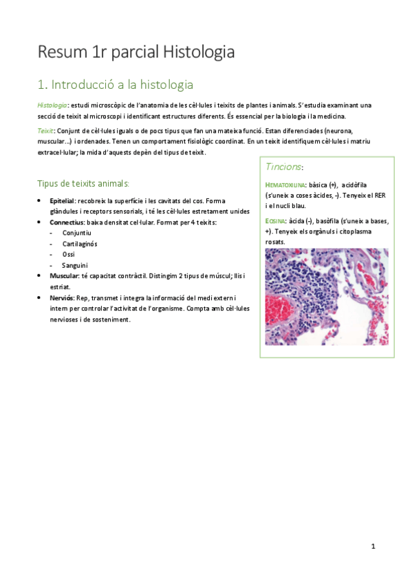 Miniatura del documento Resum-1r-parcial-Histologia.pdf
