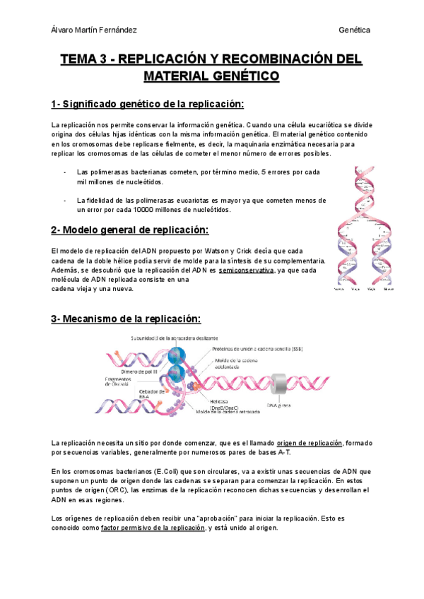 Miniatura del documento TEMA-3-REPLICACION-Y-RECOMBINACION-DEL-MATERIAL-GENETICO.pdf