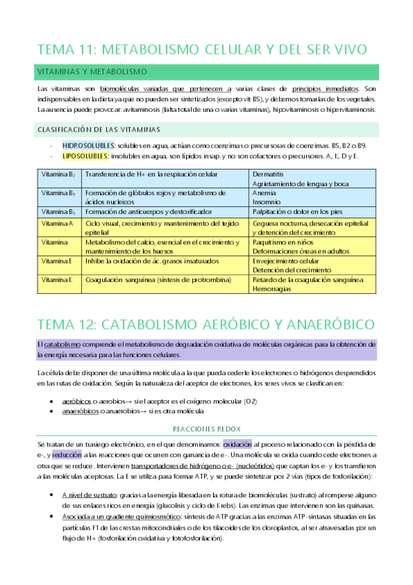 Miniatura del documento METABOLISMO + CATABOLISMO: T11 Y 12.pdf