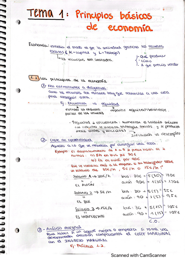 Miniatura del documento tema-1-economia.pdf