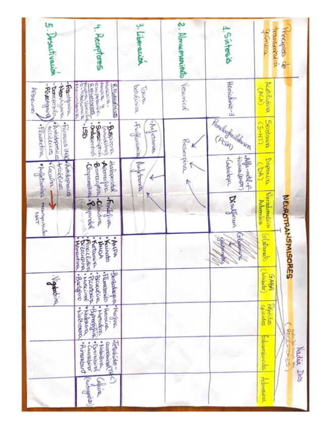 Miniatura del documento NEUROTRANSMISORES.pdf