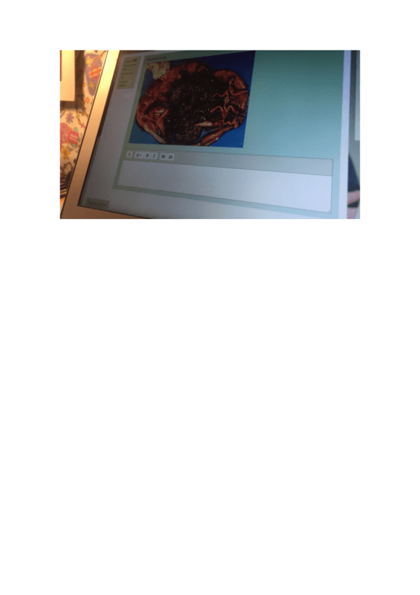 Miniatura del documento EXAMEN-LAB-APE.pdf