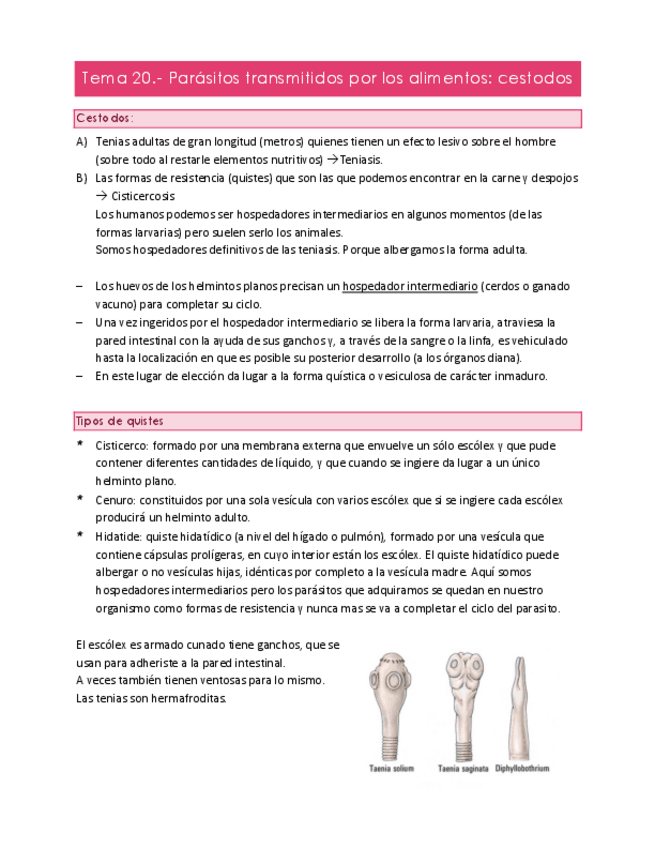 Miniatura del documento Tema-20.pdf