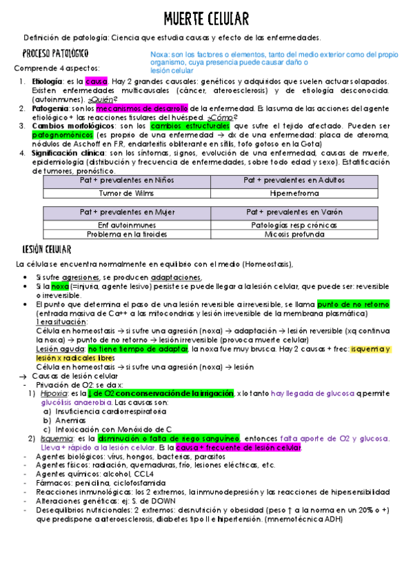 Miniatura del documento 1.pdf