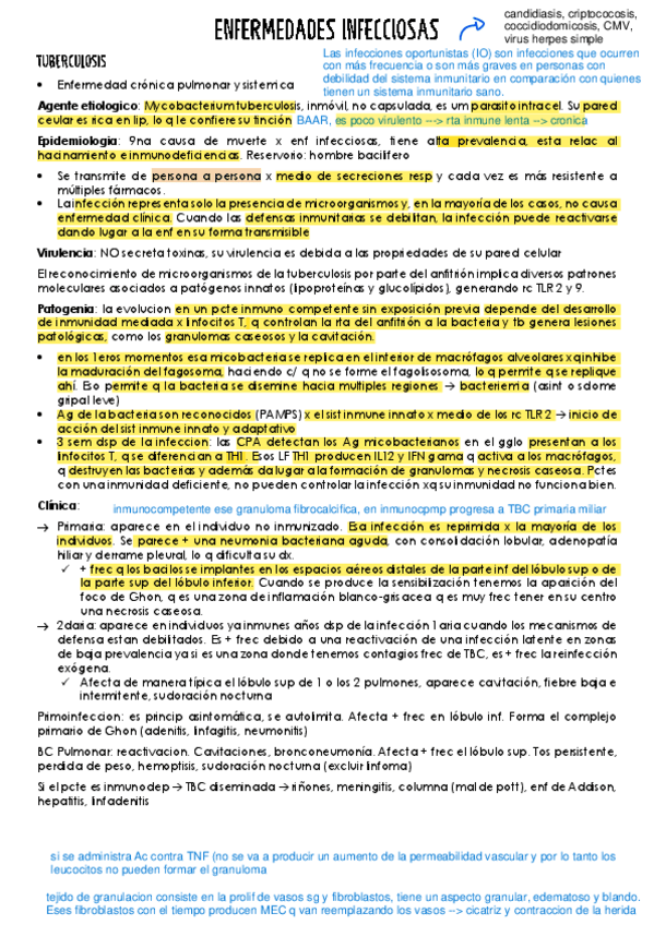 Miniatura del documento 5.pdf