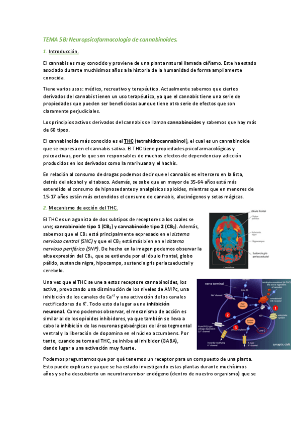 Miniatura del documento TEMA-5B-Sustancias-abuso-II.pdf