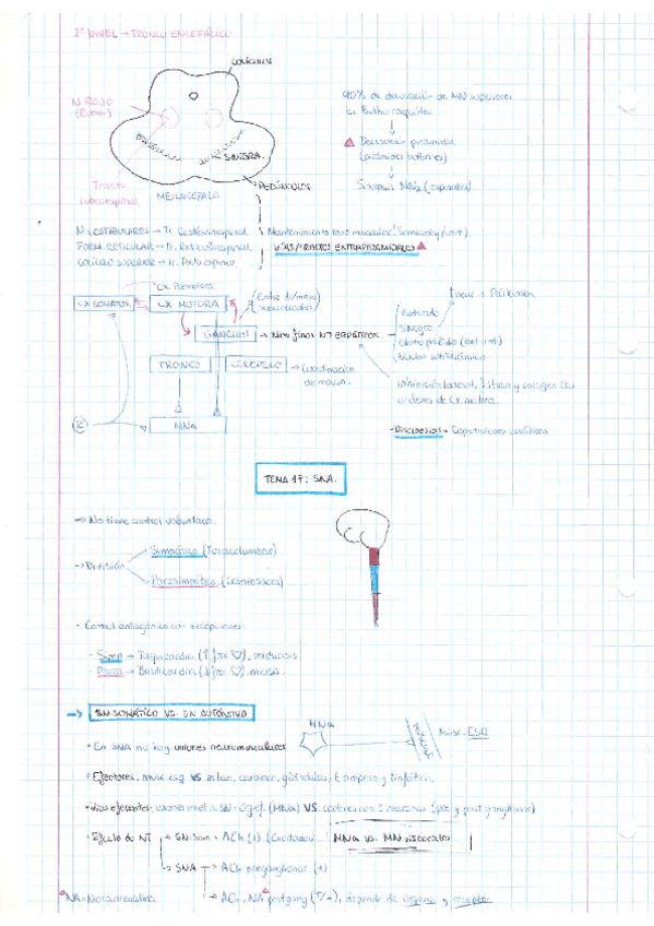 Miniatura del documento 17SNA.pdf