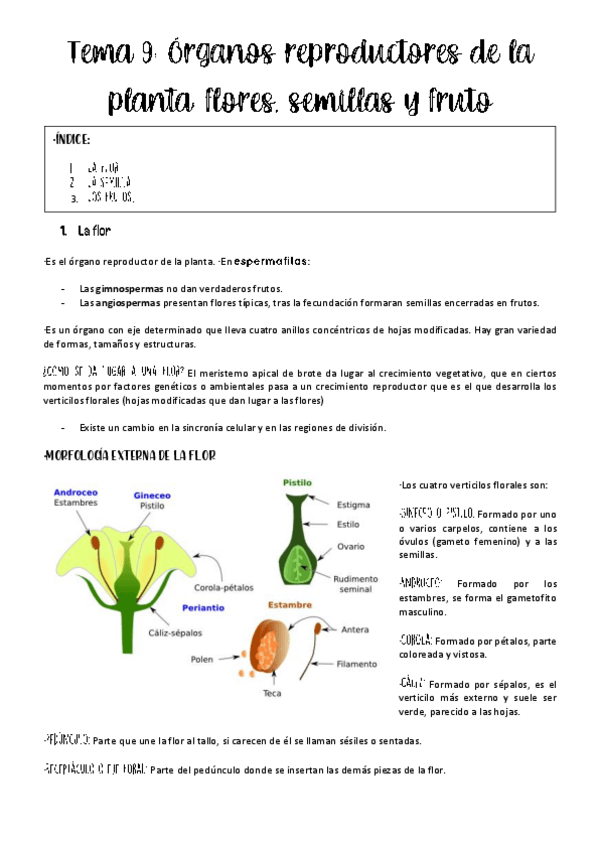 Miniatura del documento tema-9-vegetal.pdf