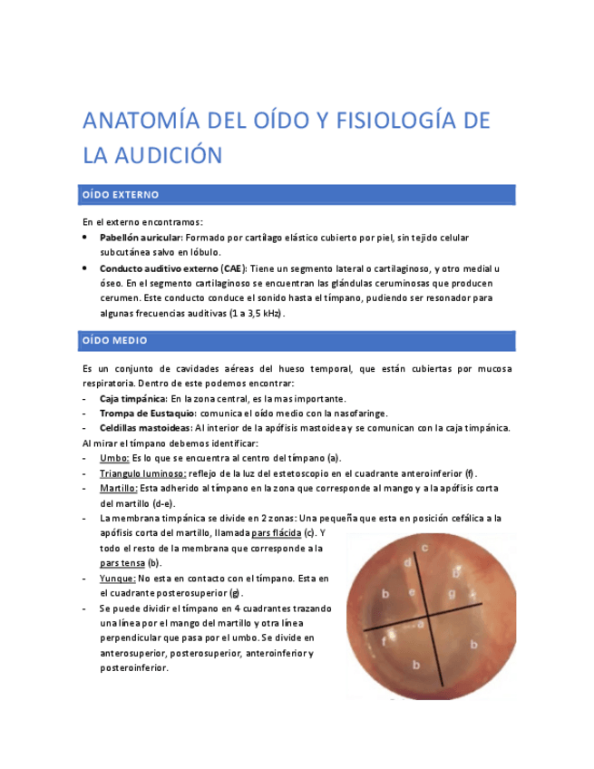 Miniatura del documento Anatomia-del-oido-y-fisiologia-de-la-audicion.pdf