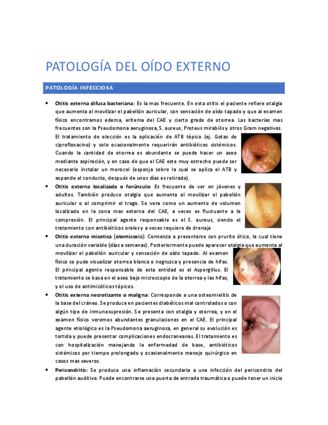 Miniatura del documento Patologia-del-oido-externo.pdf
