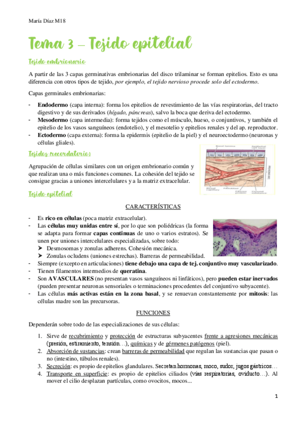 Miniatura del documento t3.pdf