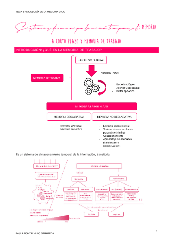 Miniatura del documento TEMA-5-PSICOLOGIA-DE-LA-MEMORIA.pdf
