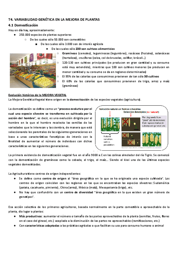 Miniatura del documento T4.pdf