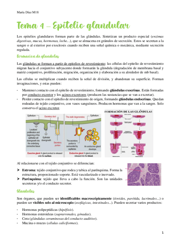 Miniatura del documento t4.pdf
