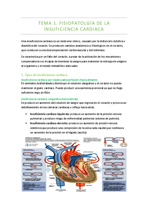 Miniatura del documento Bloque-1.pdf