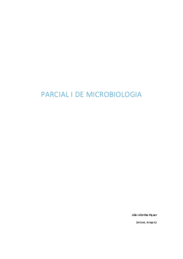 Miniatura del documento Parcial-I.pdf
