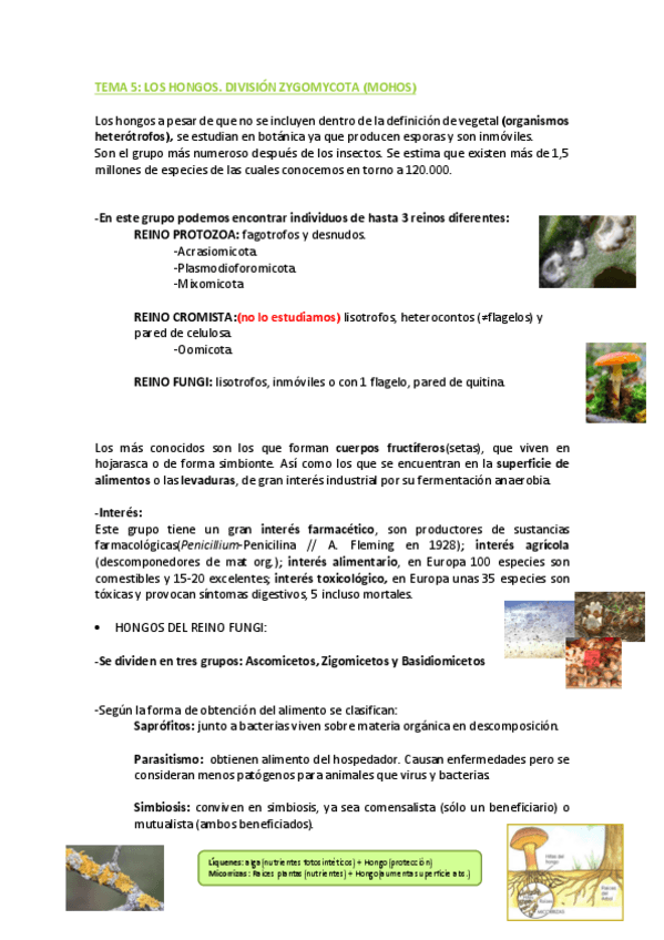 Miniatura del documento APUNTES-Tema-5.pdf