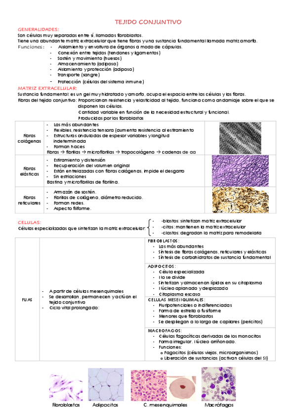 Miniatura del documento TEJIDO-CONJUNTIVO.pdf