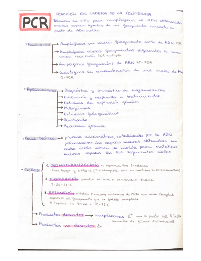 Miniatura del documento PCR.pdf