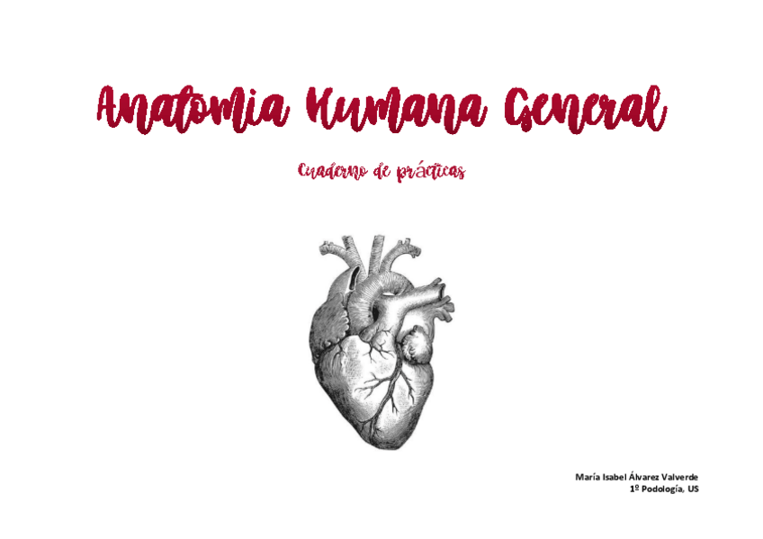 Miniatura del documento Cuaderno-de-Practicas.pdf