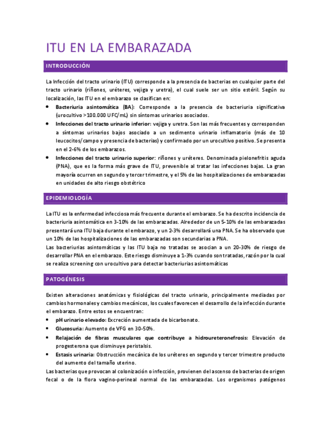 Miniatura del documento ITU-en-la-embarazada.pdf