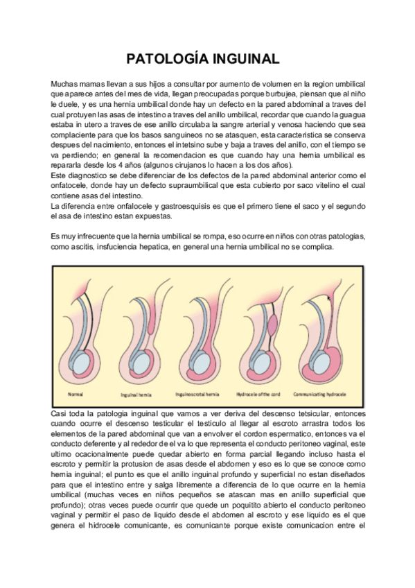 Miniatura del documento Patologia-inguinal.pdf