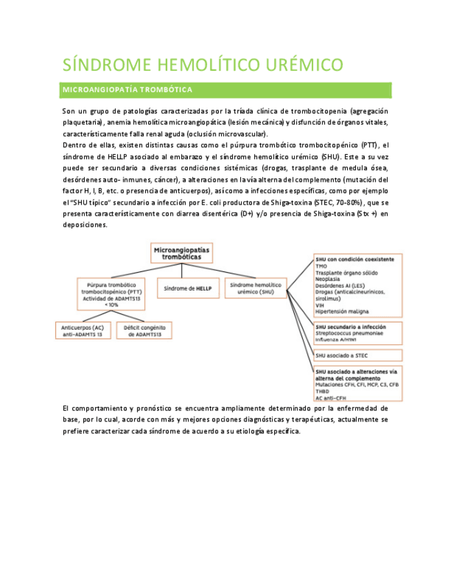 Miniatura del documento Sindrome-Hemolitico-Uremico.pdf