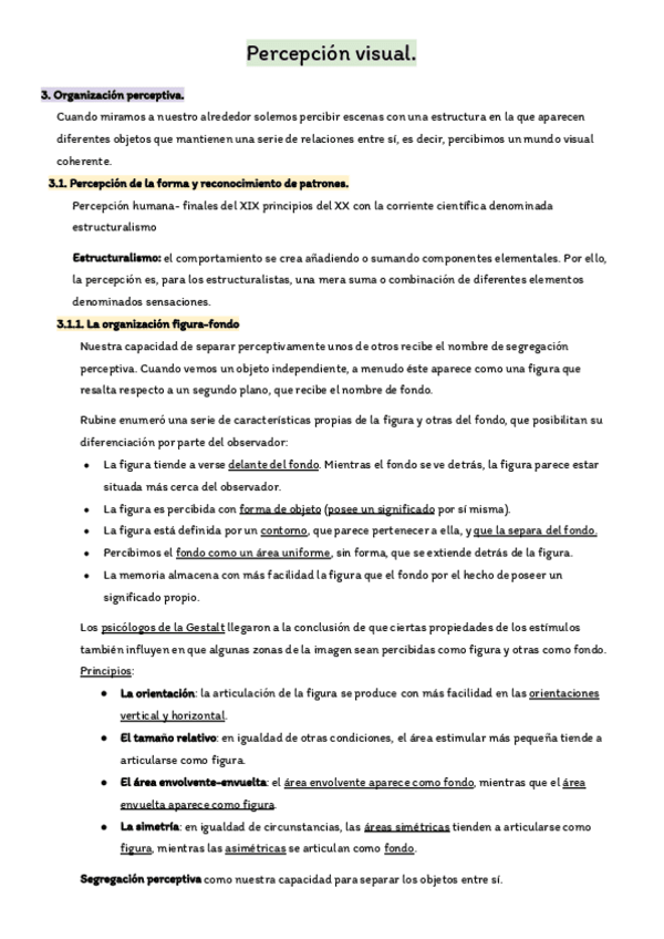 Miniatura del documento Esquema-Percepcion-visual.pdf