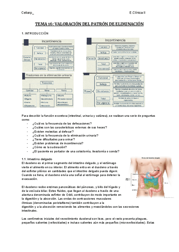 Miniatura del documento TEMA-16-VALORACION-DEL-PATRON-DE-ELIMINACION-INTESTINAL.pdf