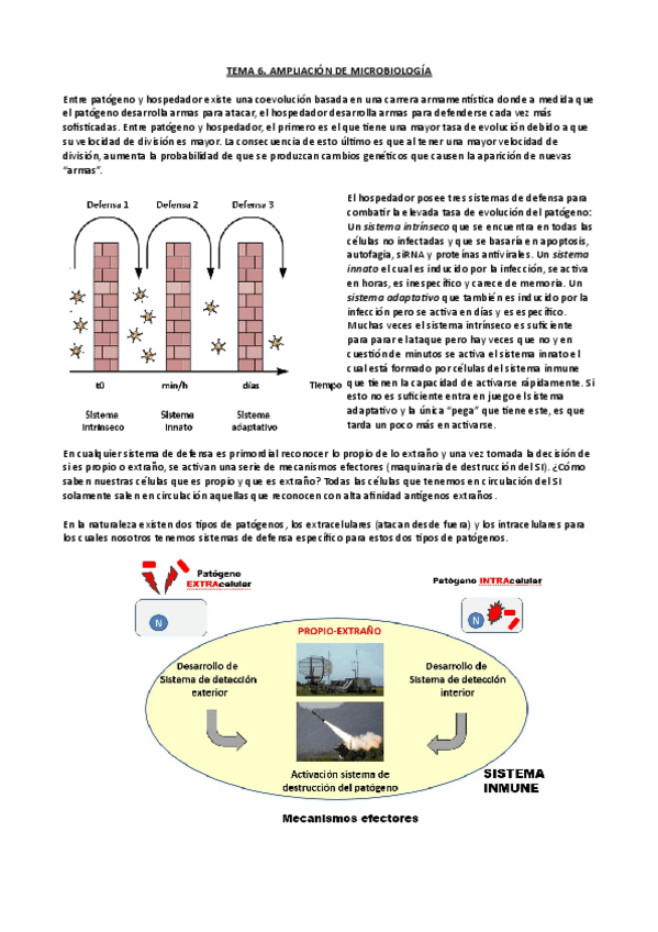 Miniatura del documento Tema-6-Ampli-micro.pdf