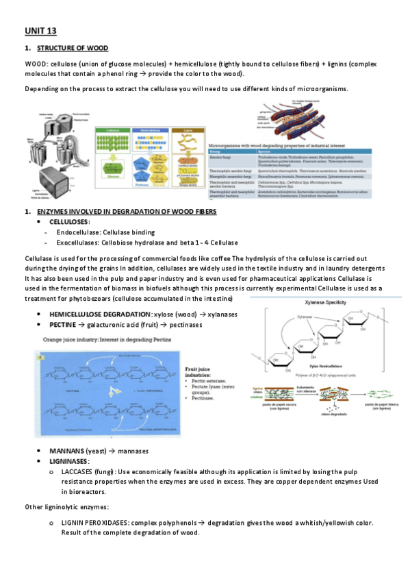 Miniatura del documento UNIT-13.pdf