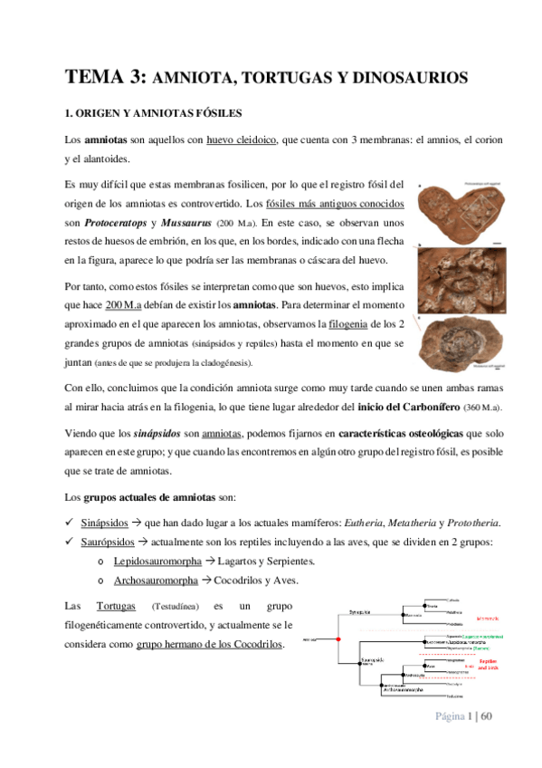 Miniatura del documento TEMA-3.pdf