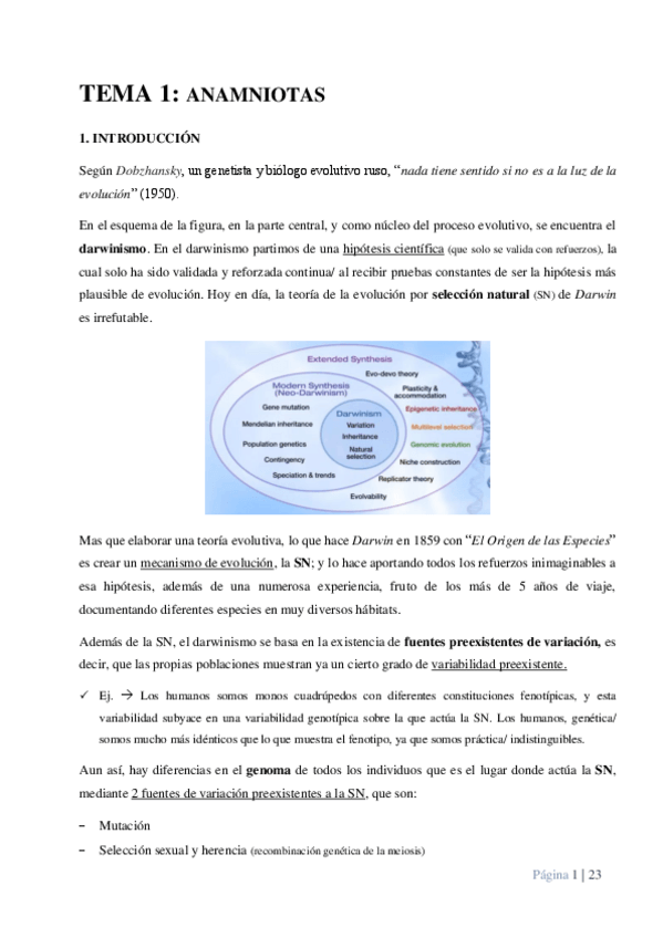 Miniatura del documento Tema-1.pdf