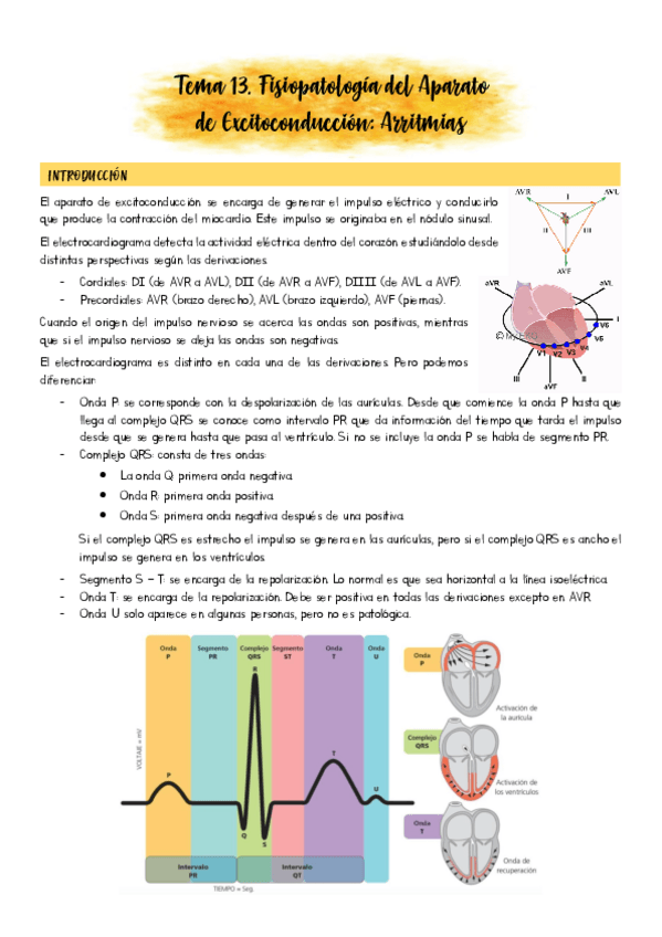 Miniatura del documento Tema-13.pdf