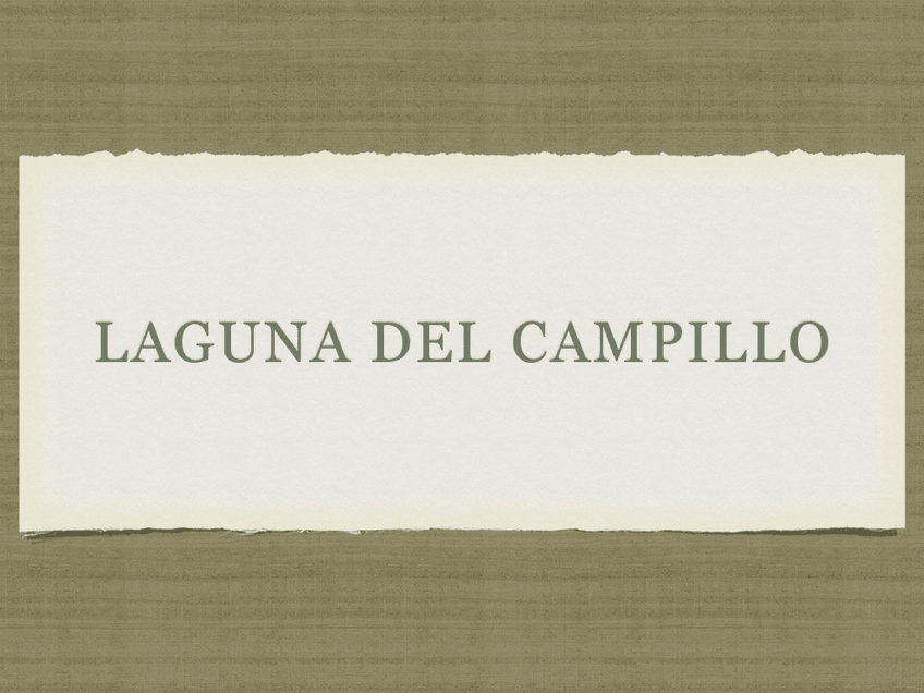 Miniatura del documento campillo-visu.pdf