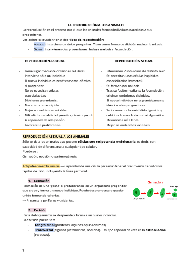 Miniatura del documento APUNTS-REPRODUCCIO-SEXUAL.pdf