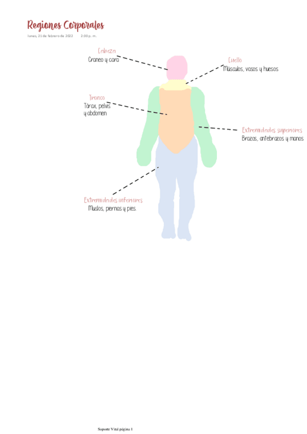 Miniatura del documento Regiones-Corporales.pdf