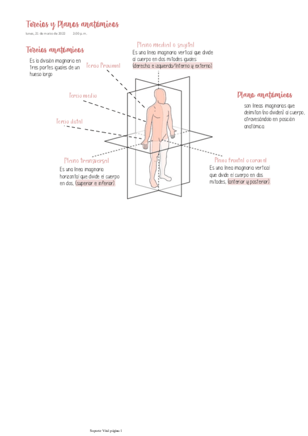 Miniatura del documento Tercios-y-Planos-anatomicos.pdf